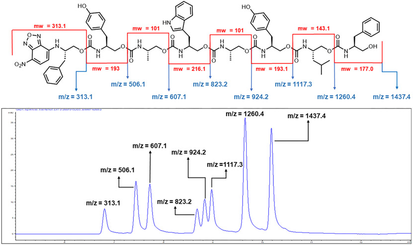 Figure 5.