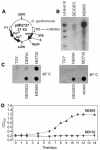 FIG.2.