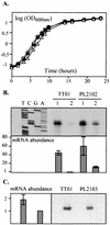 FIG. 6.