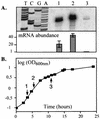 FIG. 4.