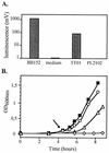 FIG. 5.