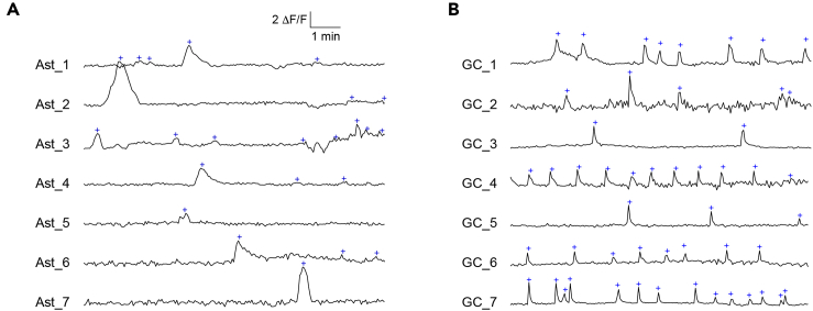 Figure 4