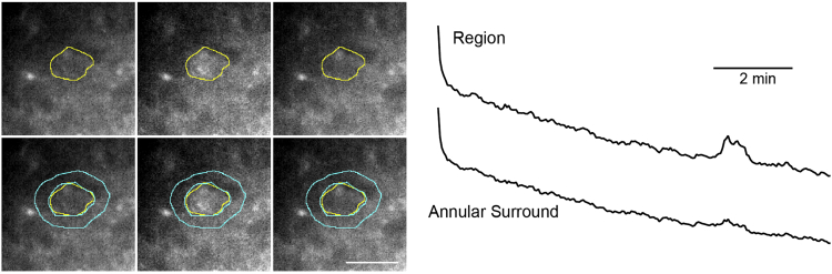 Figure 2