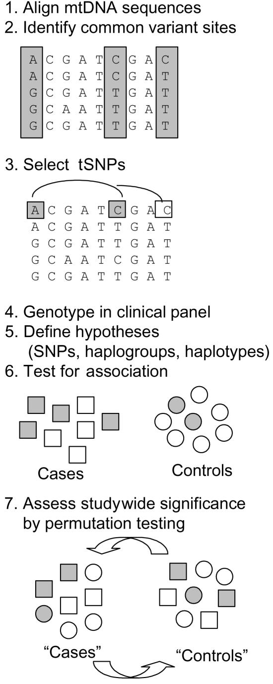 Figure  1. 