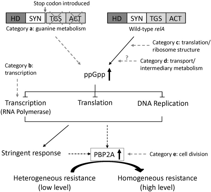 FIG 3 