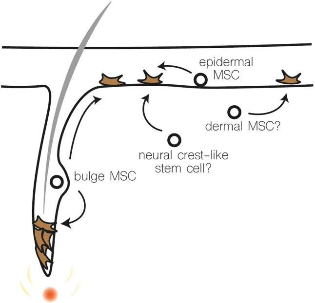 Fig. 9