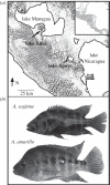Figure 2.