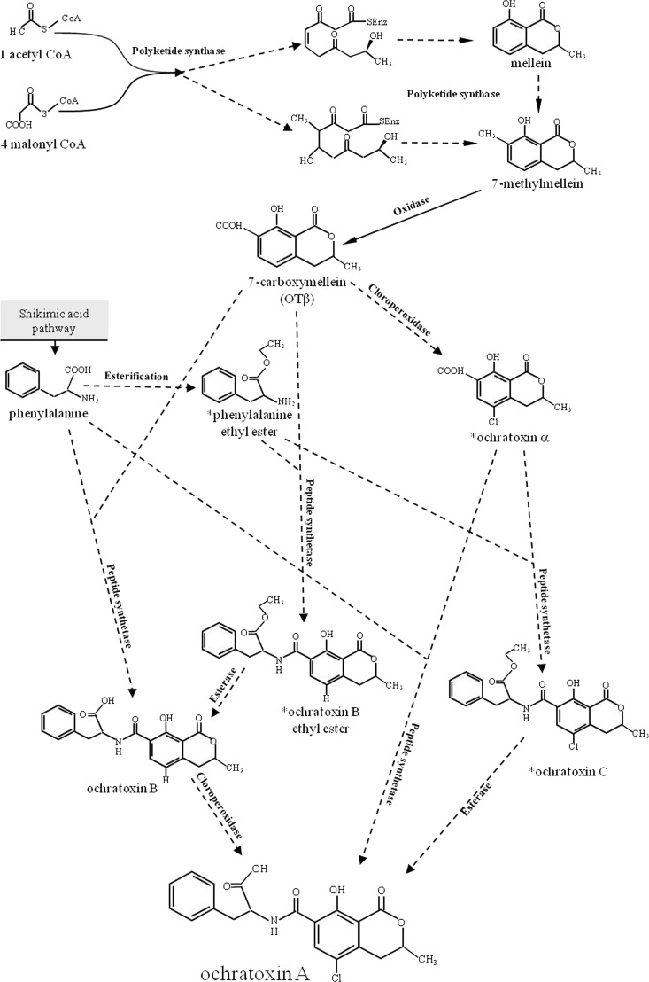 Fig 1