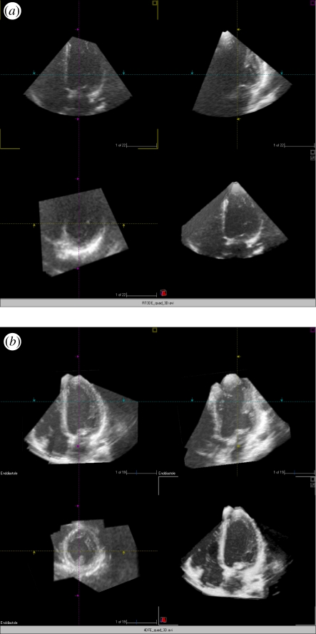 Figure 5.