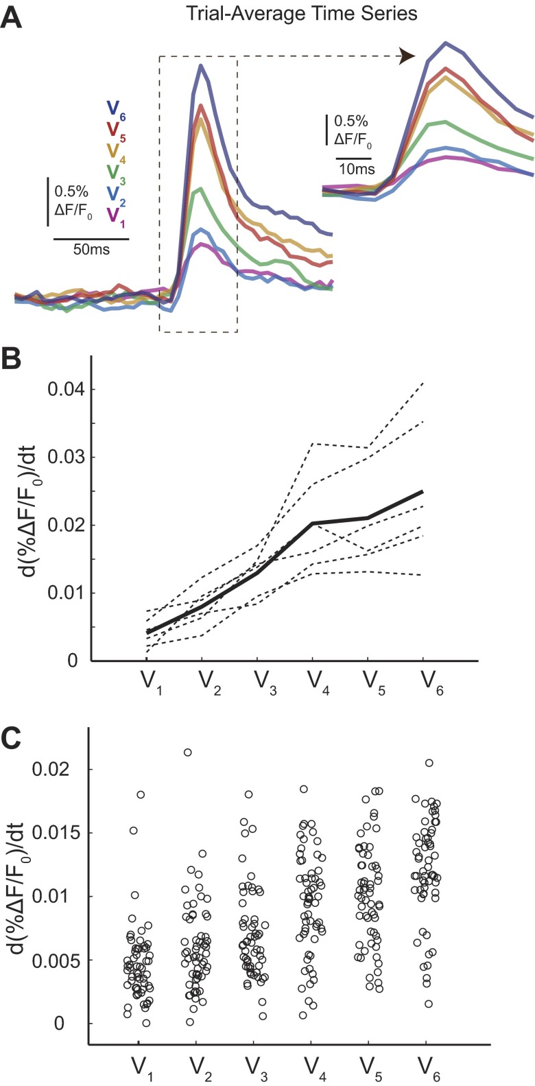 Fig. 7.