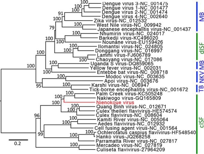 FIG 1 