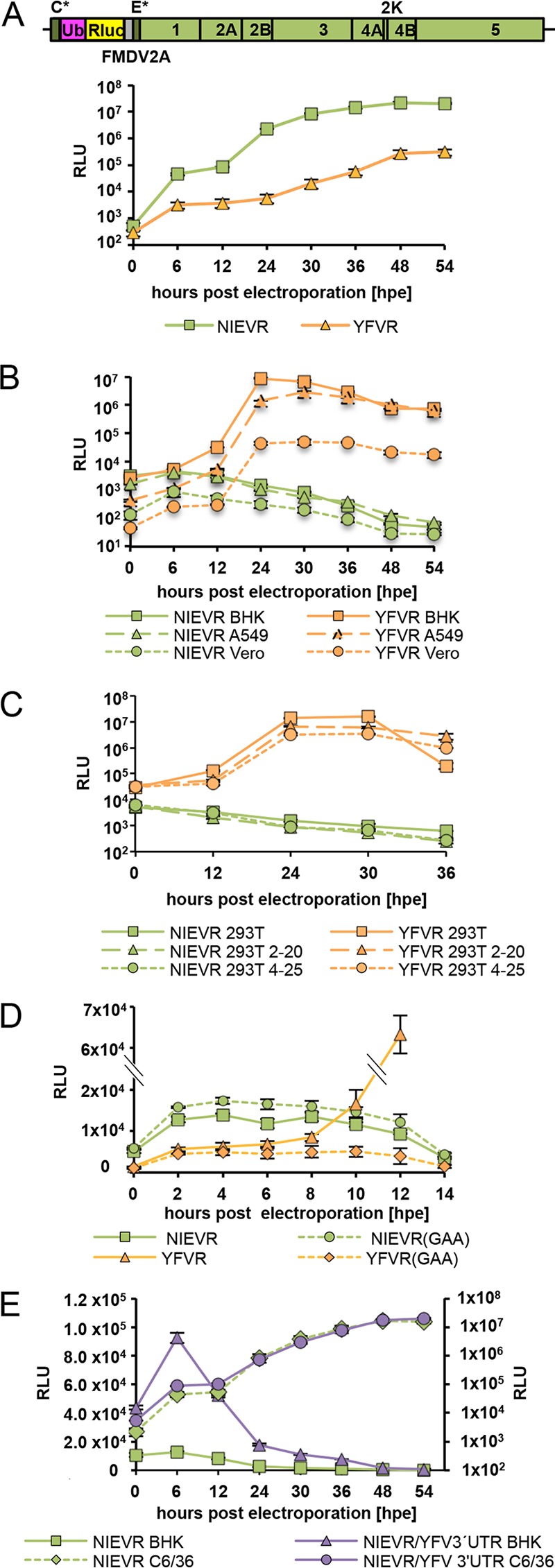 FIG 3 