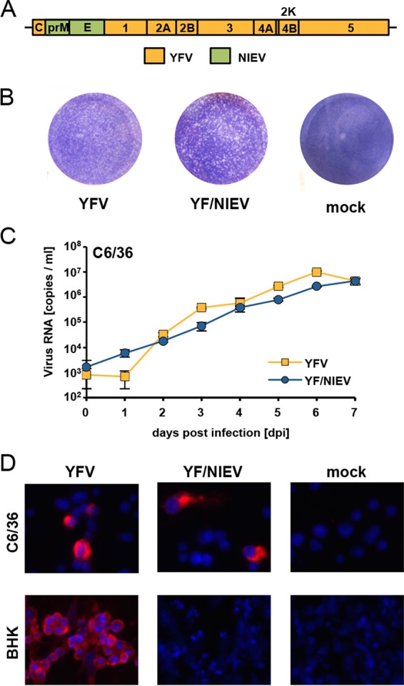 FIG 4 