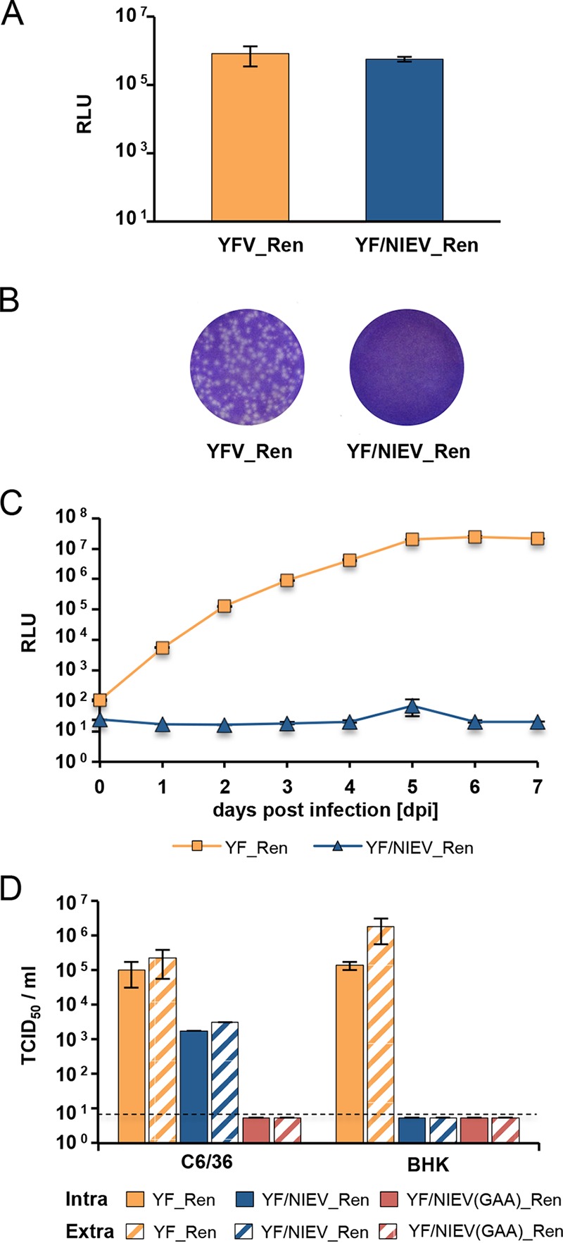 FIG 6 