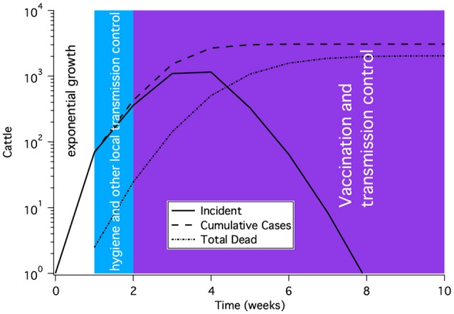 Figure 12