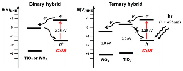 Figure 14