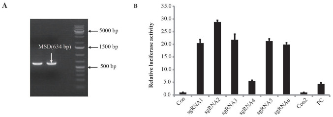 Figure 1.