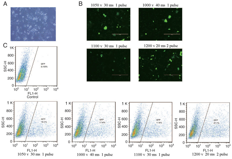 Figure 3.