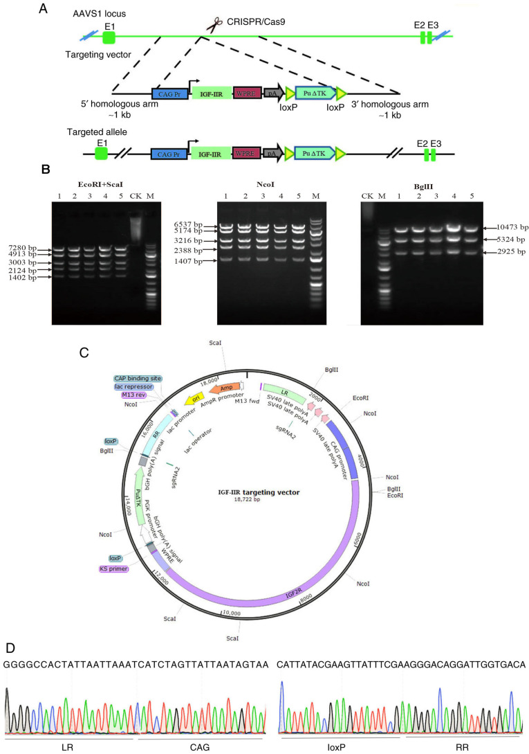 Figure 2.