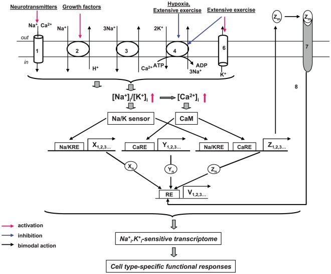 Figure 15