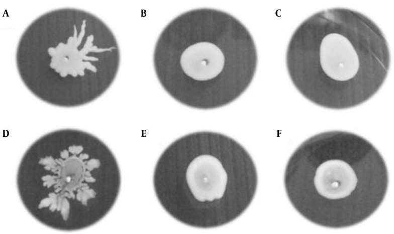 Figure 1.