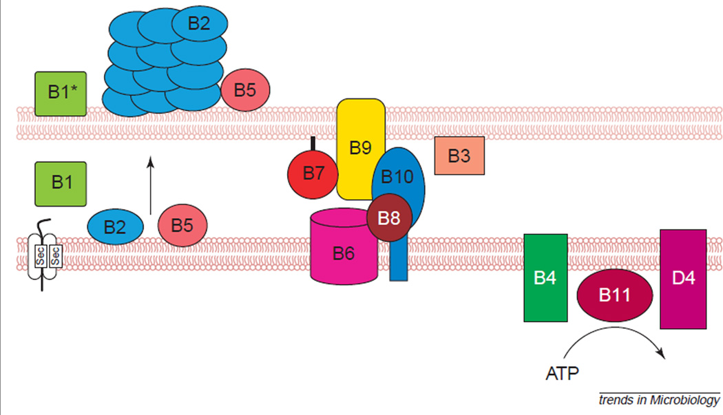 Fig. 2