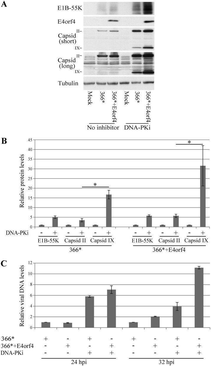 FIG 9