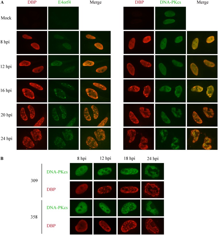 FIG 6