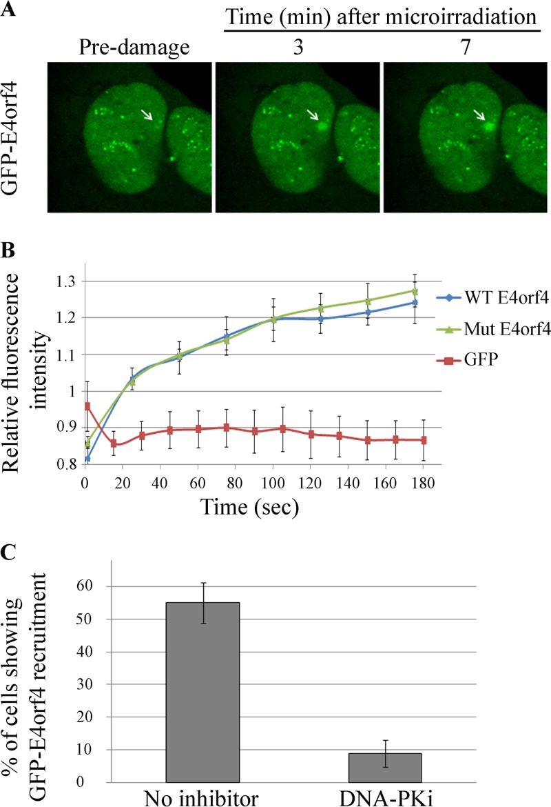 FIG 4