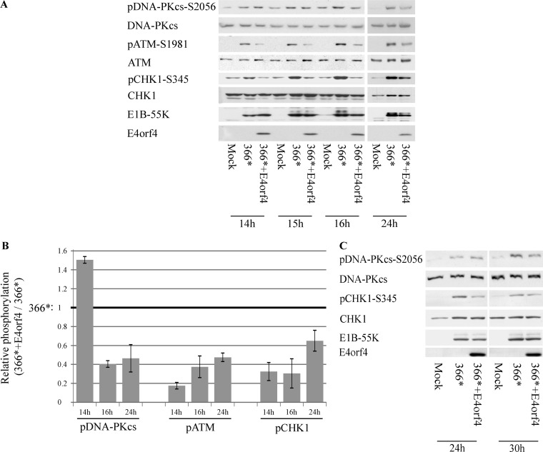 FIG 3