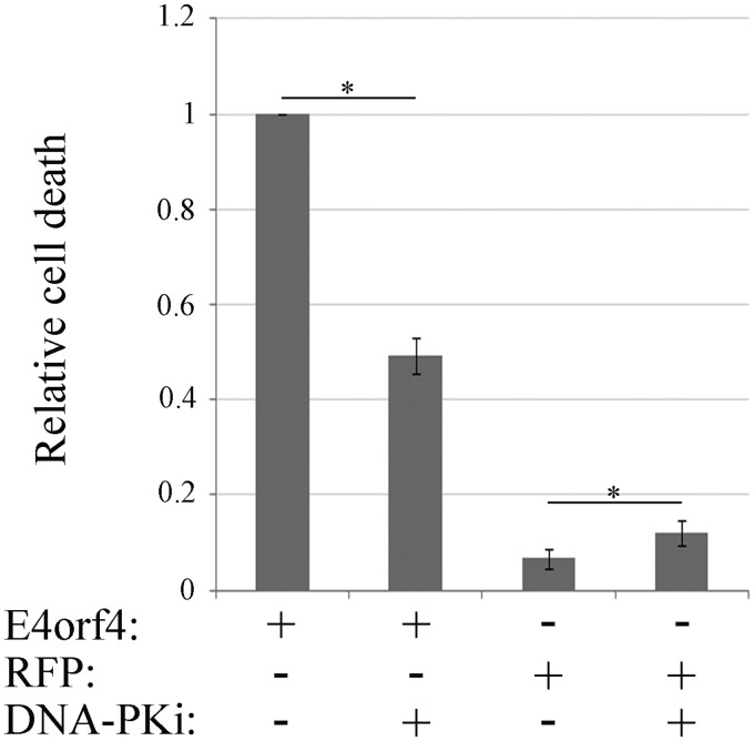 FIG 10