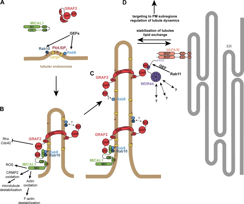 Figure 10.