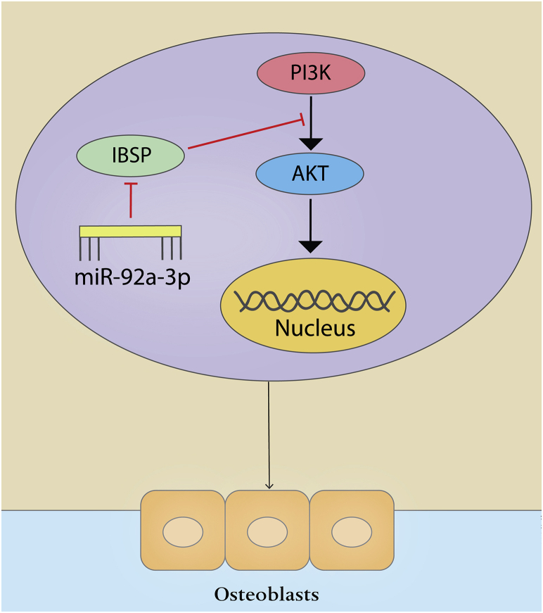 Figure 7