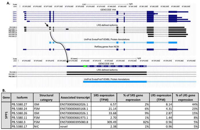 Figure 6: