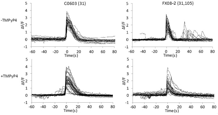 Fig 6