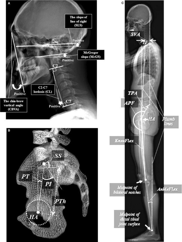 Figure 2