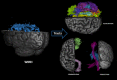 Image, graphical abstract