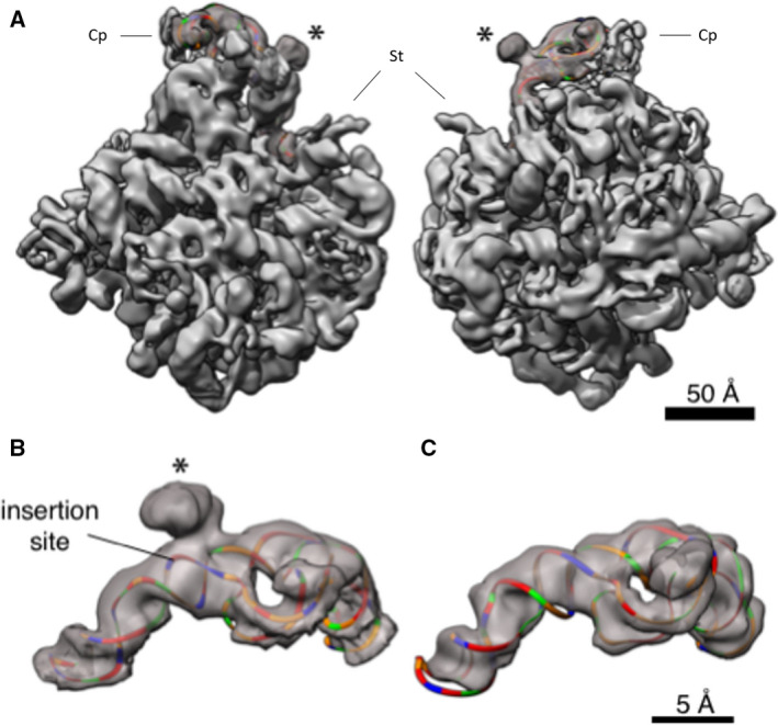 Fig. 3