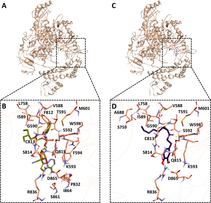 Fig. 7