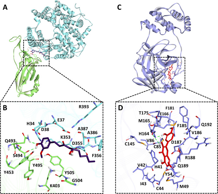 Fig. 6