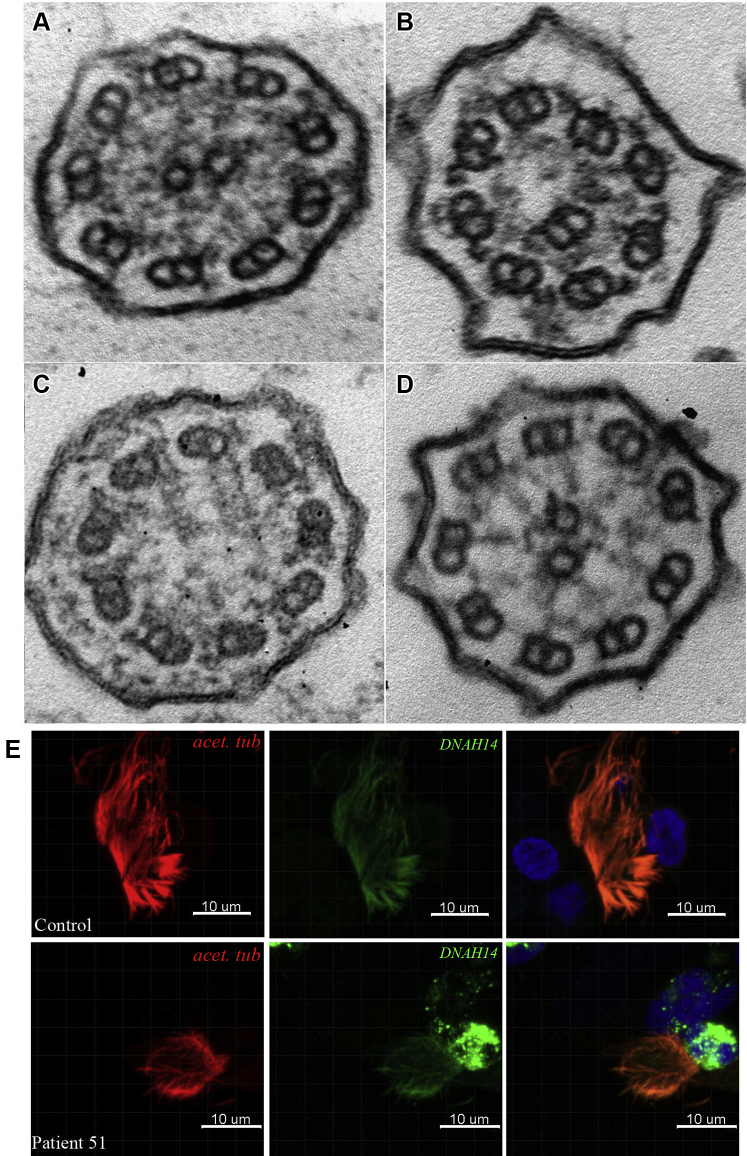 Figure 3