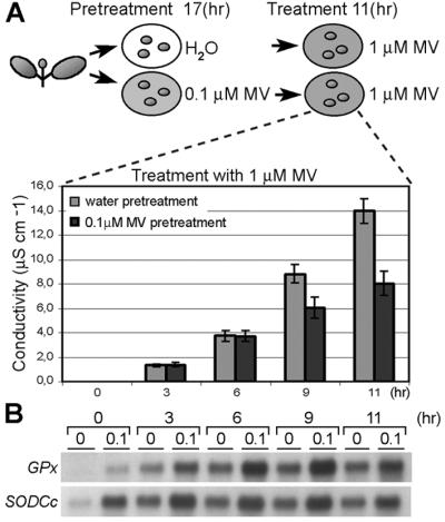 Fig 2.