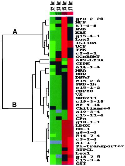 Fig 4.