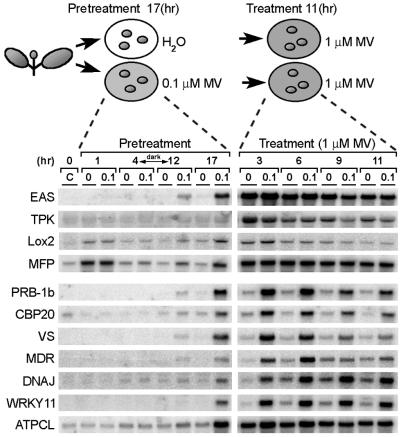 Fig 3.