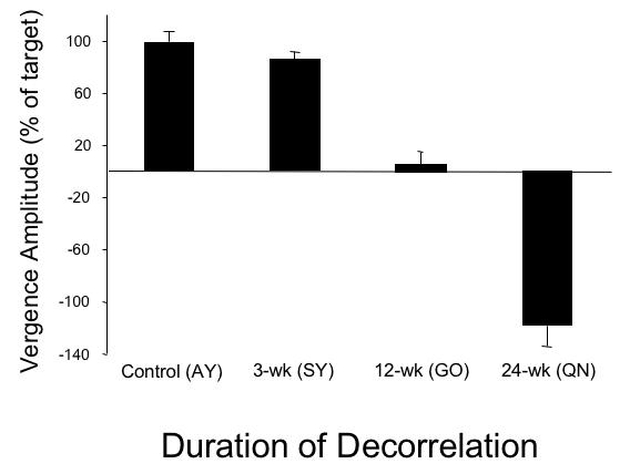 FIGURE 19