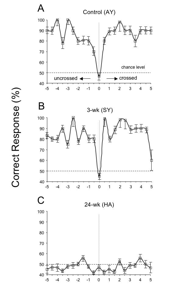 FIGURE 20