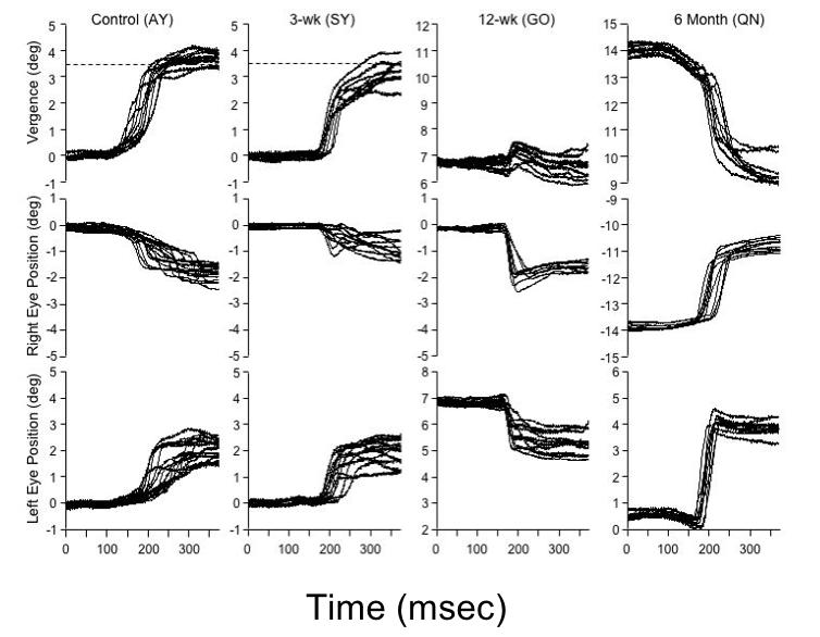 FIGURE 18