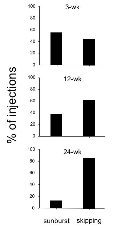 FIGURE 26