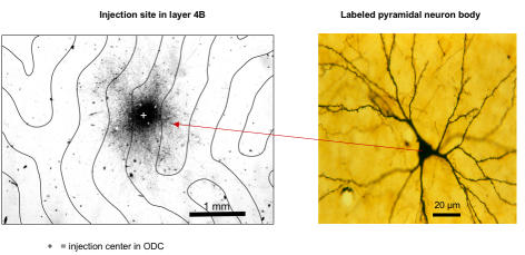 FIGURE 23