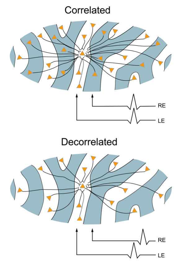 FIGURE 28